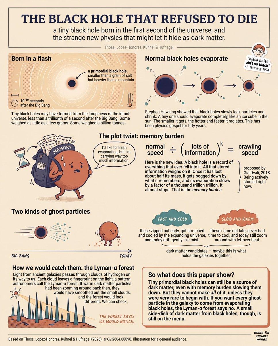 Teen-Friendly Black Hole Physics Infographic - AI image template preview
