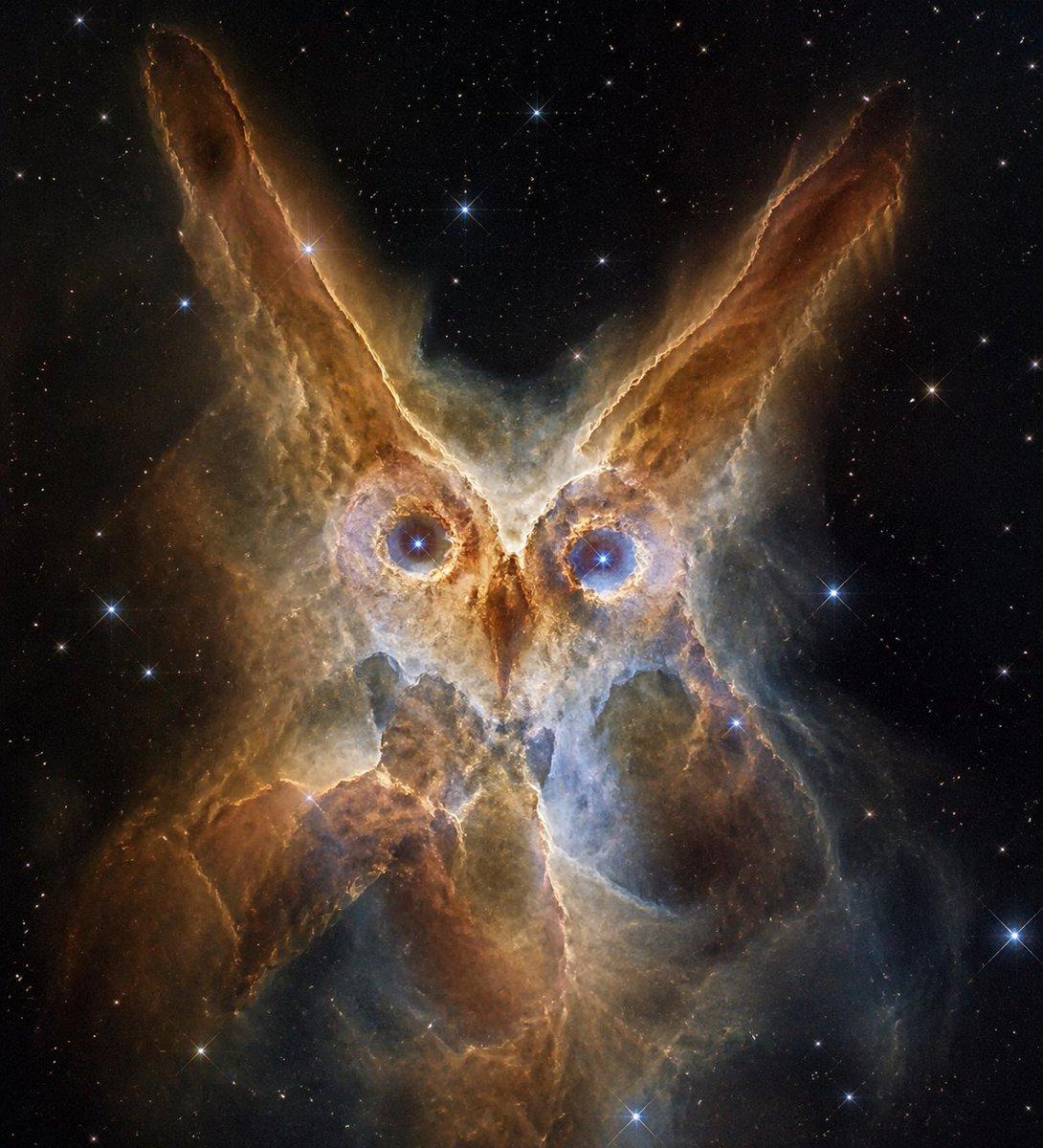 Owl-Shaped Nebula in Deep Space - AI image template preview