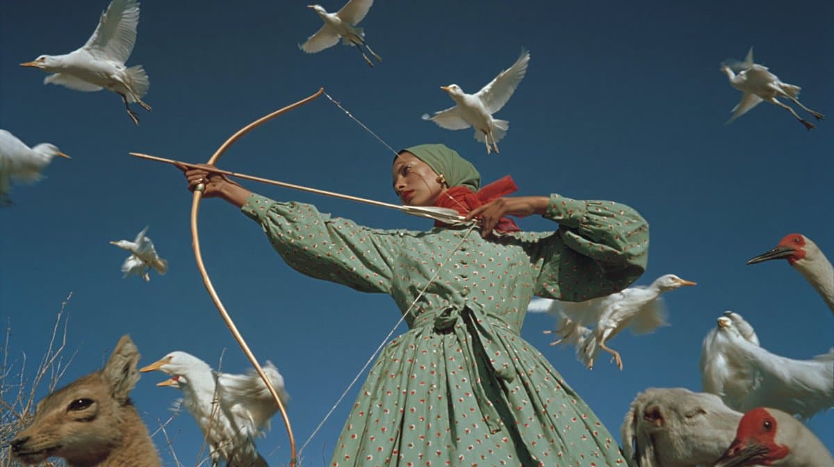 Surreal Archer With Birds and Animals - AI image template preview