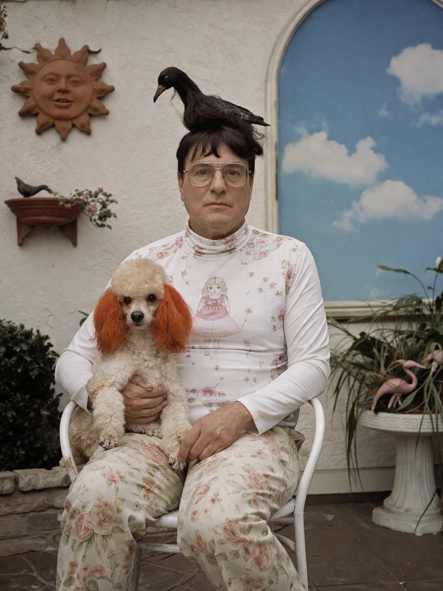 Surreal Patio Portrait with Crow and Dog - AI image template preview