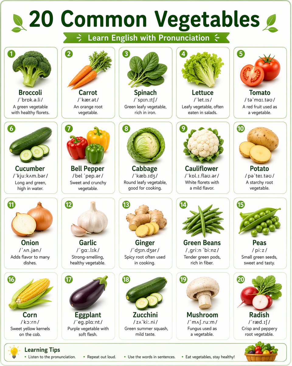 Language Learning Infographic Poster - AI image template preview
