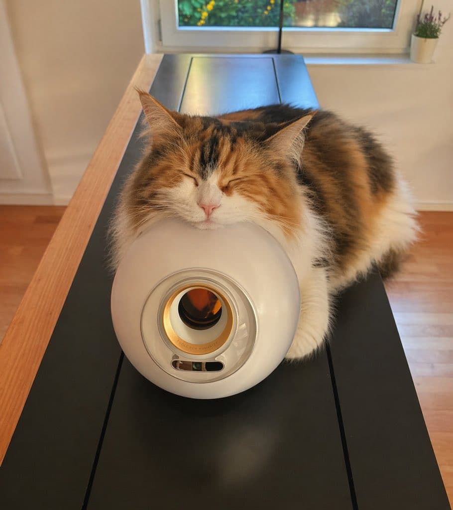 Sleeping Calico on White Appliance - AI image template preview
