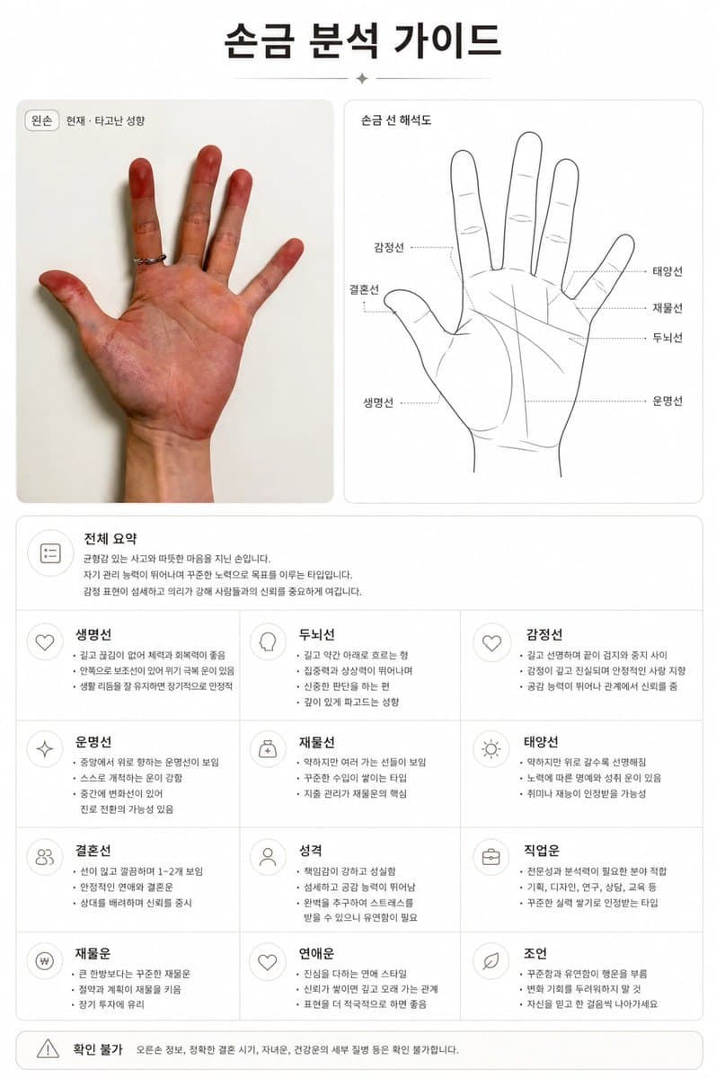 Premium Korean Palm Reading Guide preview