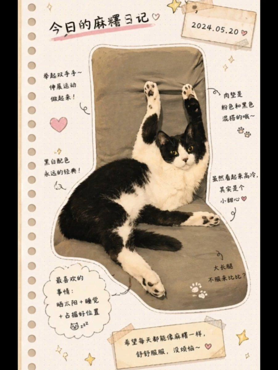 Japanese Journal Style Cat Diary - AI image template preview