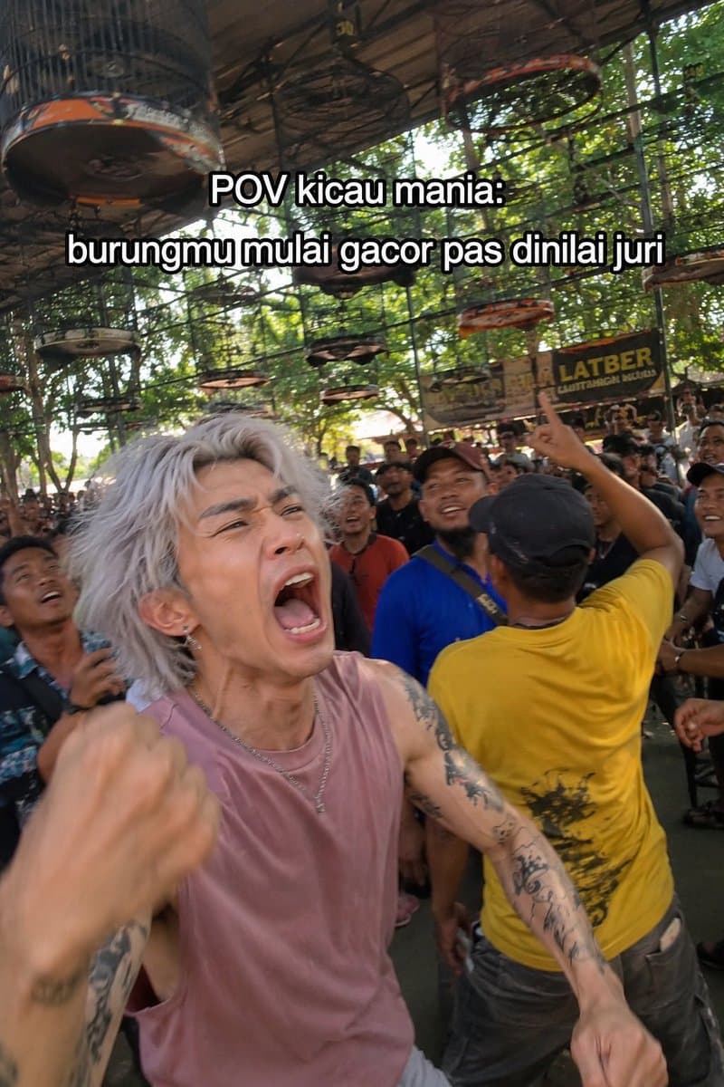 Candid Bird Contest Meme Photo - AI image template preview