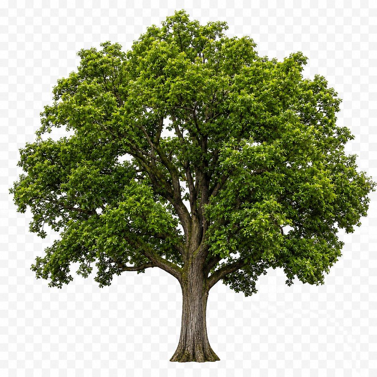 Isolated Tree on Checkerboard - AI image template preview