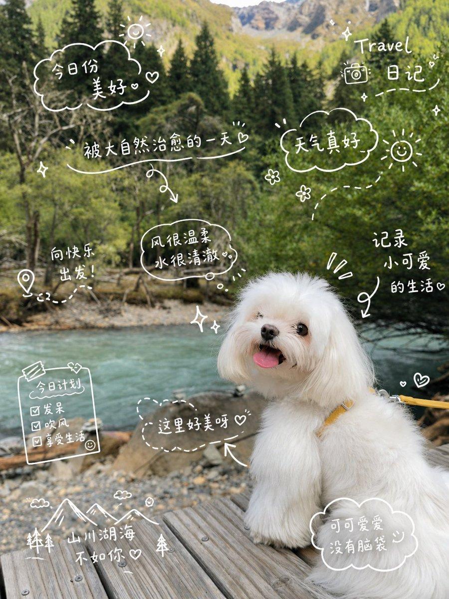 Cute Dog Travel Diary Doodles - AI image template preview