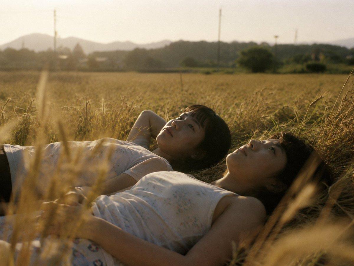 Golden Field Sunset Portrait - AI image template preview