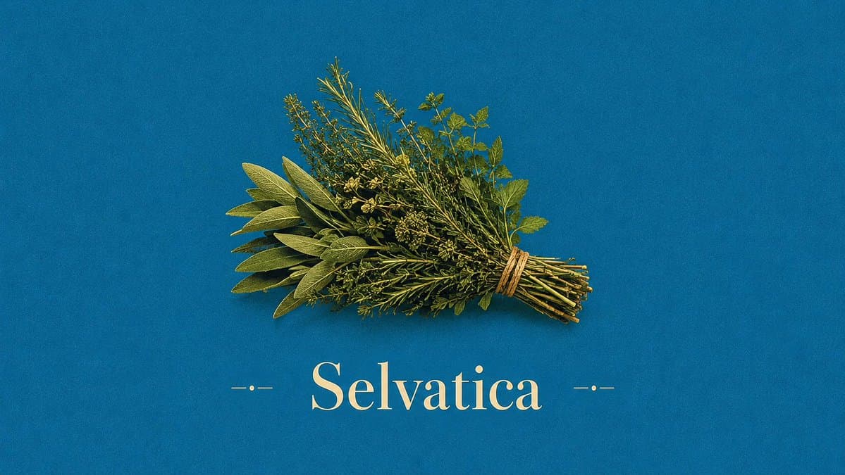 Vintage Mediterranean Herb Poster - AI image template preview