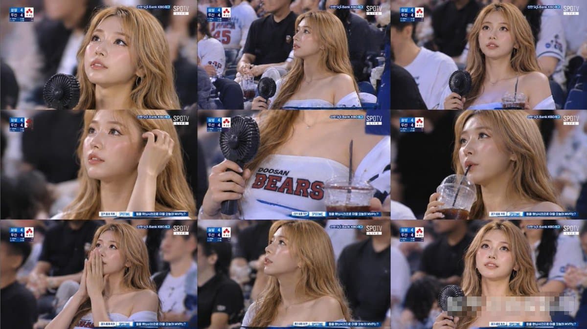 KBO Baseball Fan Television Broadcast Storyboard - AI image template preview