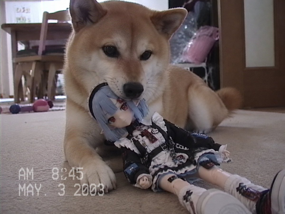 Nostalgic Home Video Doll Effect - AI image template preview