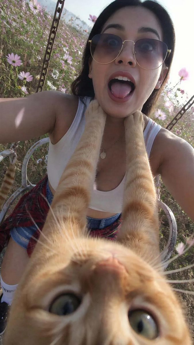 Funny Cat POV Selfie - AI image template preview