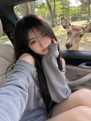 Candid Mobile Travel Snapshot with Deer - AI image template preview