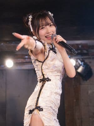 Chinese-Style Idol Concert Portrait - AI image template preview
