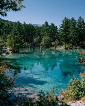 Turquoise Alpine Forest Pond - AI image template preview