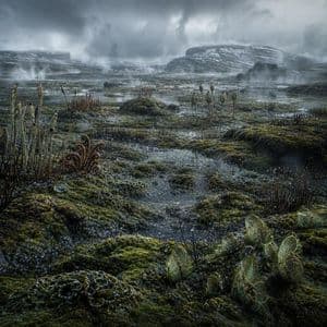 Ancient Prehistoric Swamp Landscape - AI image template preview