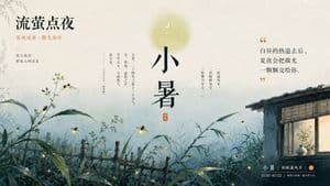 Chinese Firefly Summer Night Poster preview