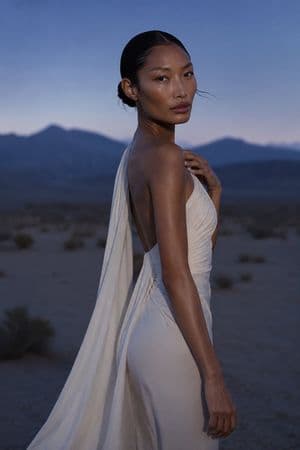 Twilight Desert Fashion Portrait - AI image template preview