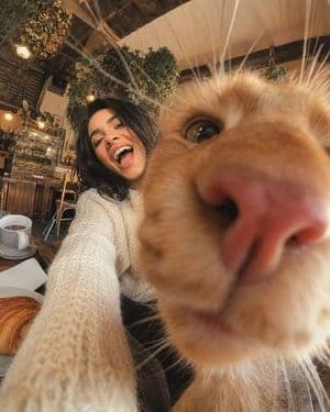 Extreme Wide-Angle Cat Photobomb Selfie - AI image template preview