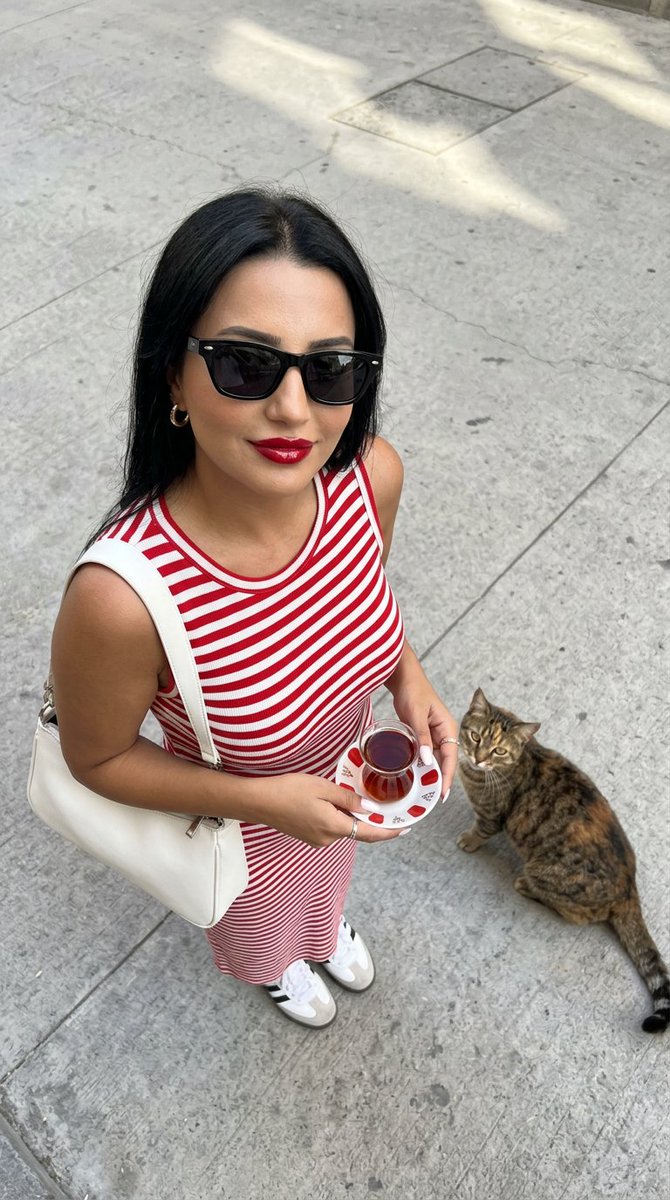 Urban Fashion with Istanbul Cat - AI image template preview