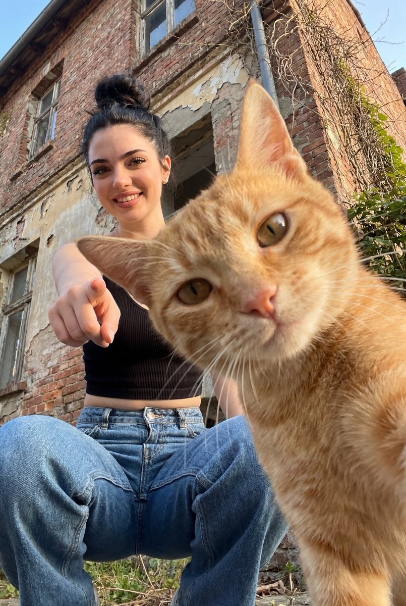 Worm's-Eye Urban Portrait with Cat - AI image template preview