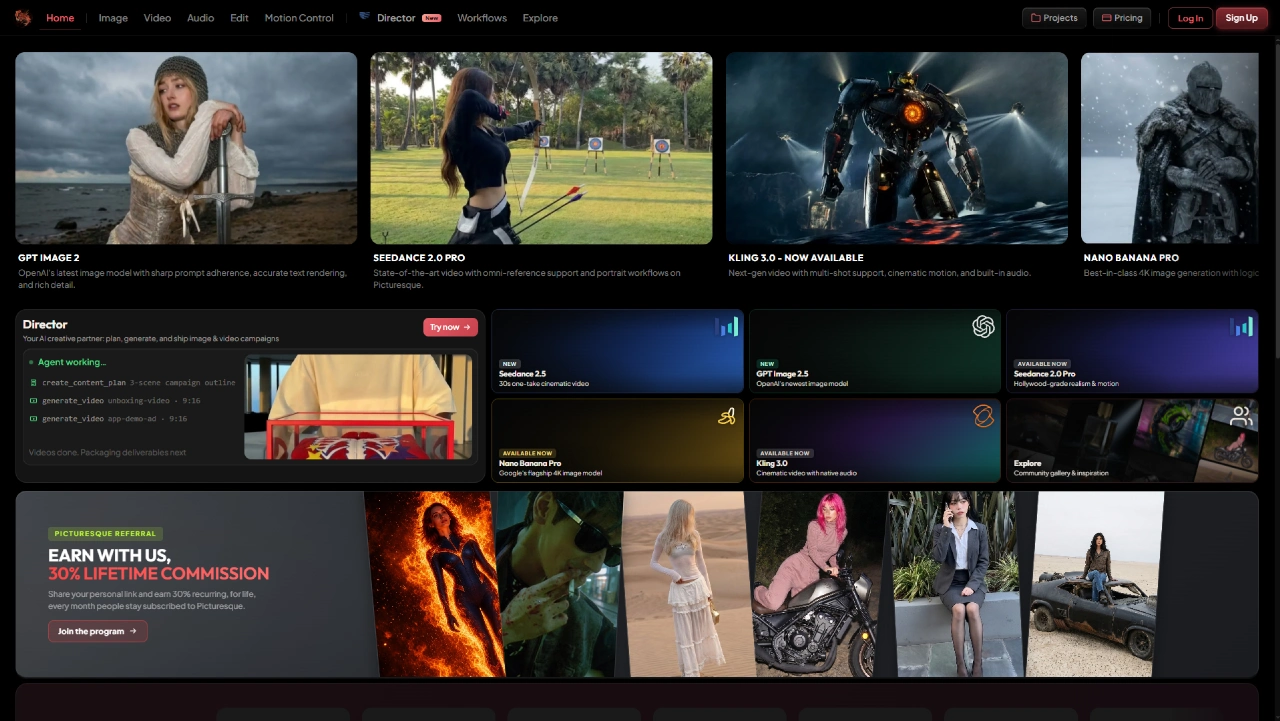 Picturesque AI homepage showing Image, Video, Director, and model cards