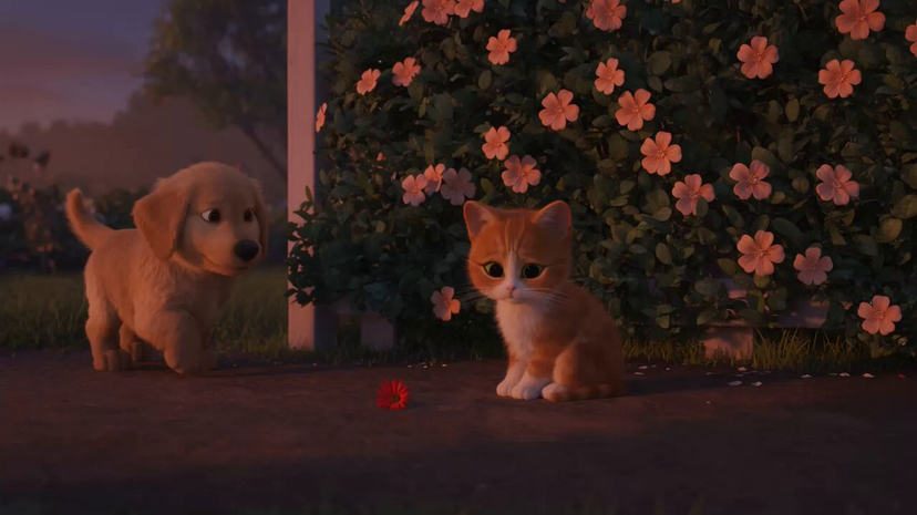 Wholesome Puppy and Kitten Story - Seedance 2.5 AI template preview