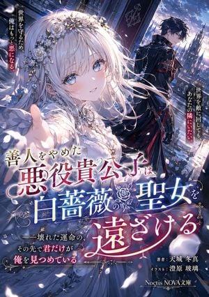 Anime Light Novel Cover Illustration preview