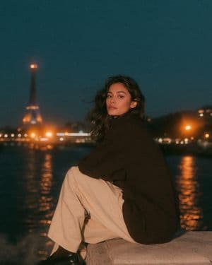 Parisian Night Seine Portrait preview