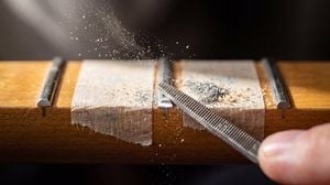 Macro Guitar Fret Dressing preview