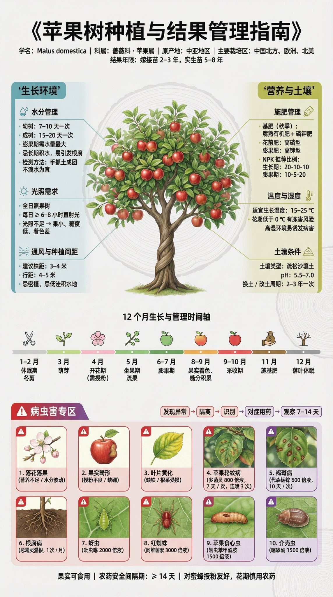 果树种植科普展板 3 4 竖版 博物馆级信息设计 preview