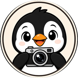 PicX Studio